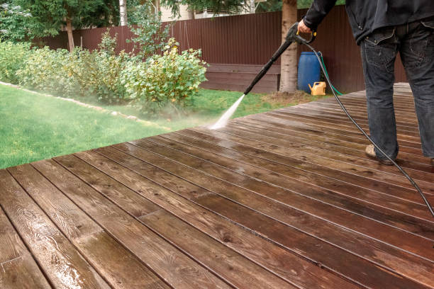 Best Pre-Holiday Cleaning  in Summitville, IN